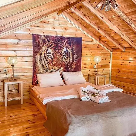 Doga Su Minimal Evler Sapanca