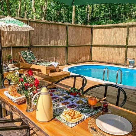 Chalet Doga Su Minimal Evler